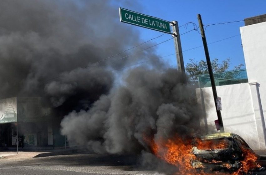  Најмлаку 29 убиени, судири меѓу армијата и нарко картелот во Мексико (ВИДЕО)