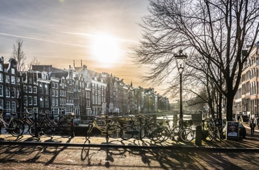  Зголемен бројот на баратели на азил во Холандија