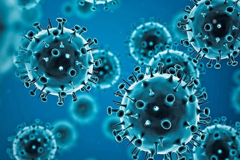  Најзаразен сој на коронавирусот се шири низ светот