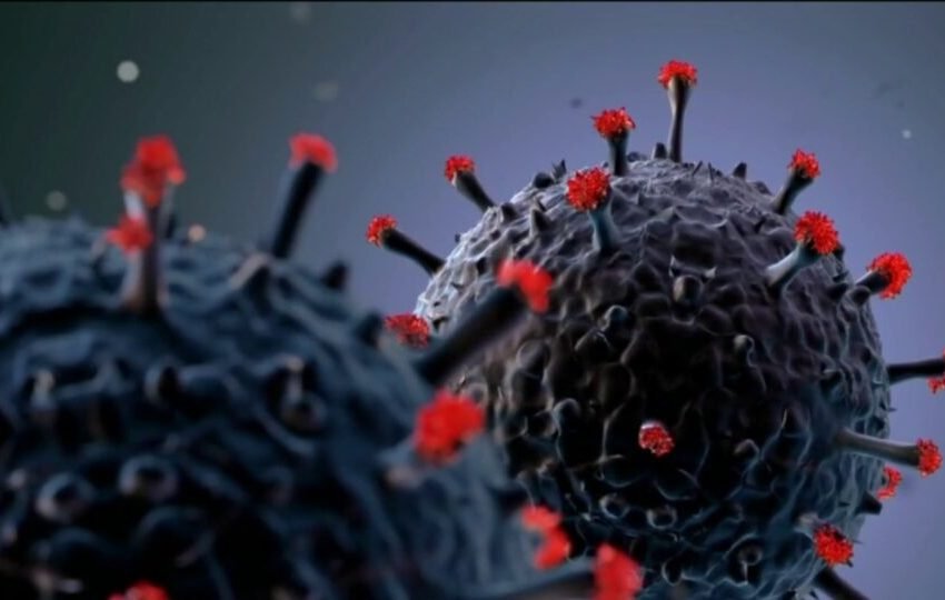  БРЗО ДОЈДЕ ВО СОСЕДСТВОТО НОВИОТ СОЈ НА КОРОНАВИРУС – во оваа земја е регистриран првиот случај