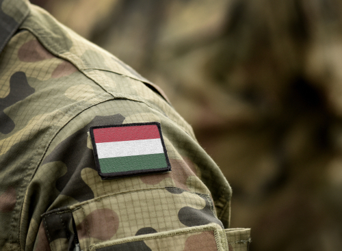  Унгарската војска ја напушти границата кон Србија