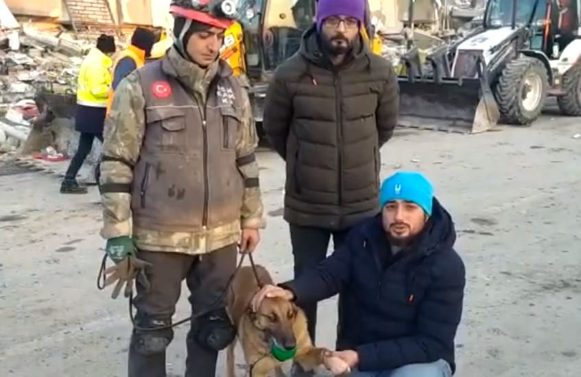  ВИДЕО: Ова е Сила, кучето на турската армија кое со повредена шепа спаси 12 луѓе