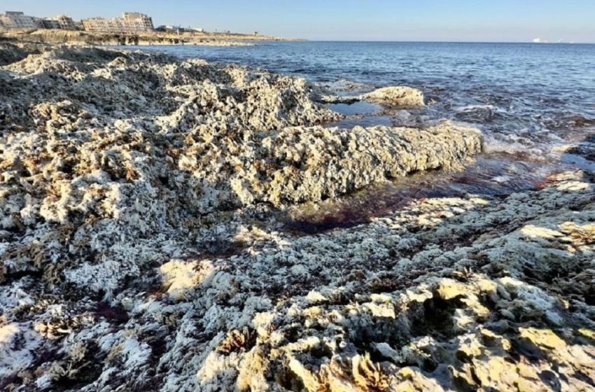  СРЕДОЗЕМНОТО МОРЕ БУКВАЛНО ГО СНЕМА – граѓаните око не може да склопат од тоа што мислат дека се случува, има ли поврзаност со земјотресите во Турција?
