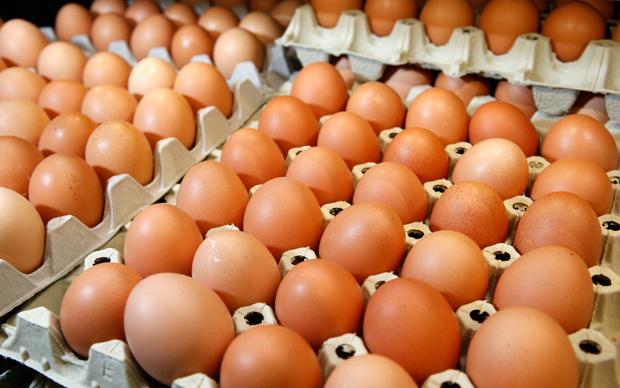  Цената на јајцата во ЕУ за една година во просек зголемени за 30 проценти
