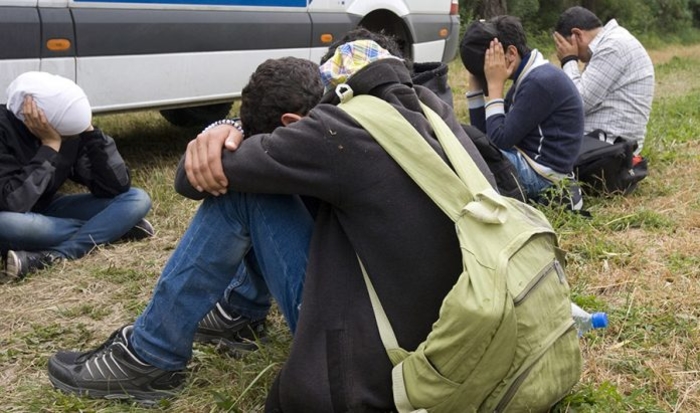  Во Мексико откриени 343 мигранти во напуштена приколка од камион