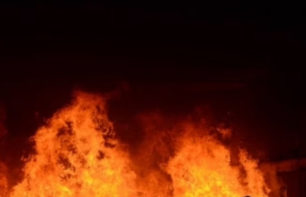  Пожар на нискостеблеста вегетација во близина на струшко Калишта