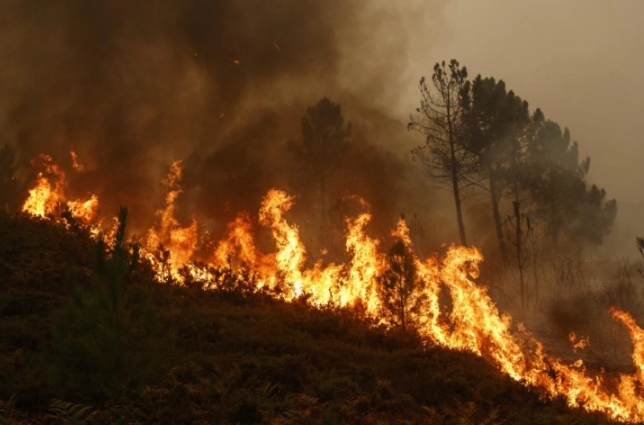  Шумски пожар во источна Шпанија, стотици луѓе евакуирани