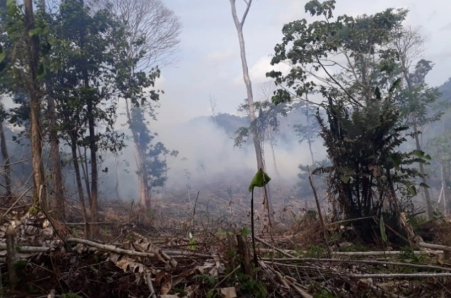  Доселеници запалија село на староседелци во северниот дел на Никарагва, загинаа пет лица