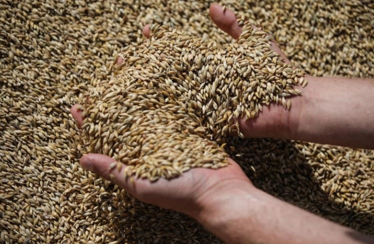  Полска ќе го тестира квалитетот на украинското жито што го добива поради протестите на земјоделците