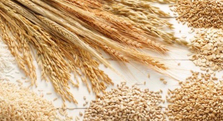  Полска забрани увоз на украинско жито