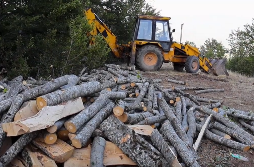  150 м3 дрва дневно нелегално се изнесуваале од Јабланица и тоа во текот на 10 месеци во годината (ВИДЕО)