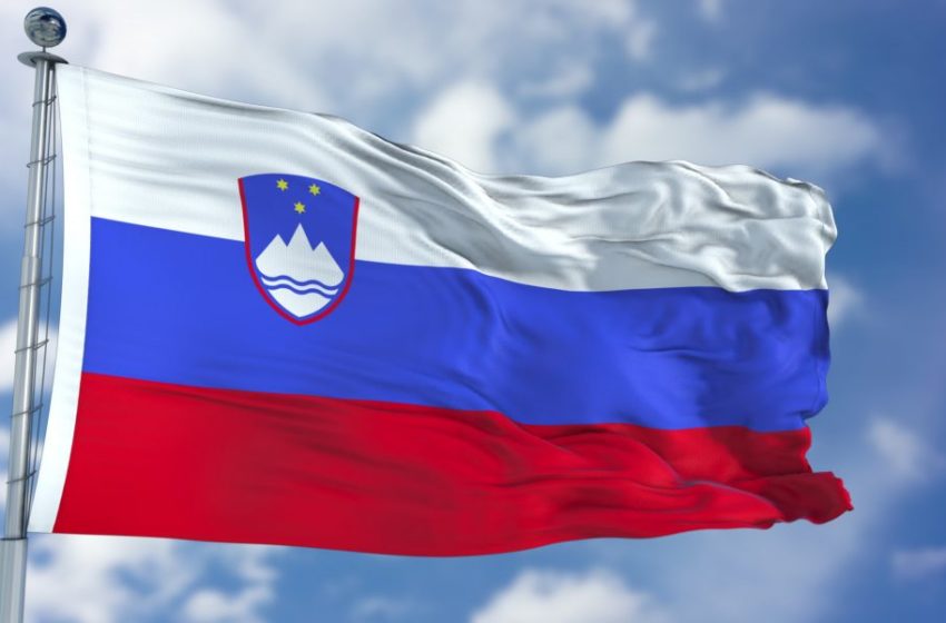  Драма во Словенија: специјалци упаднаа во училиште и уапсија наставничка поради дрога