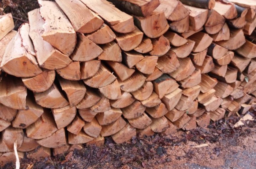  Вработен во Шумското во Струга незаконски дал службен чекан за жигирање дрва на друго лице