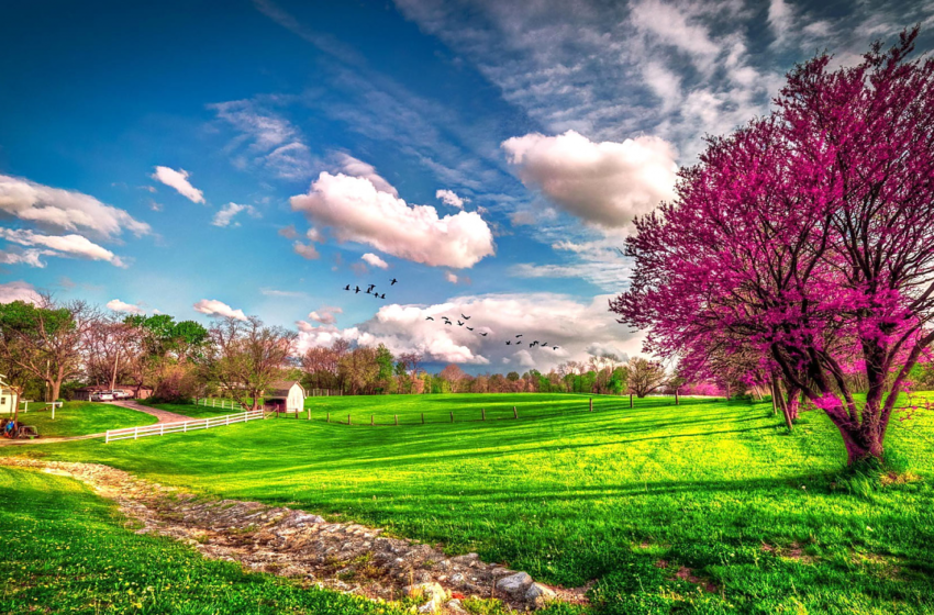  До среда сончево и топло, а потоа заладување и дожд