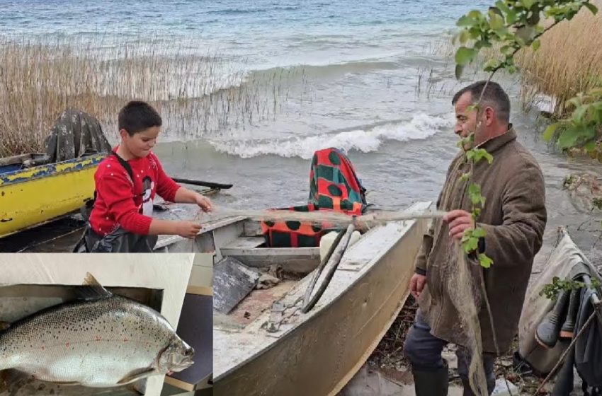  Рибар во албанскиот дел на Охридското Езеро улови коран тежок 13,2 килограми (Видео)