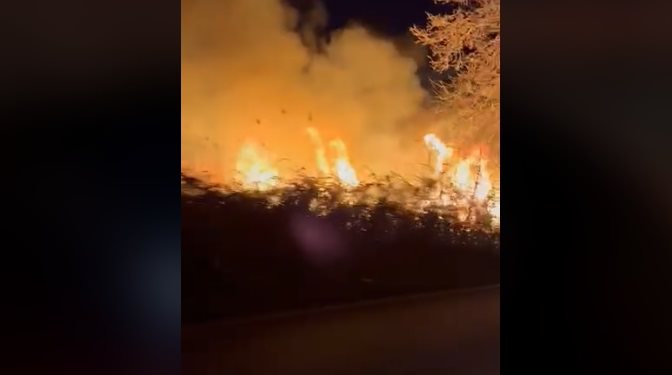  Пожар на трска во езерото на стариот пат за Струга, во близина на Подмоље (Видео)
