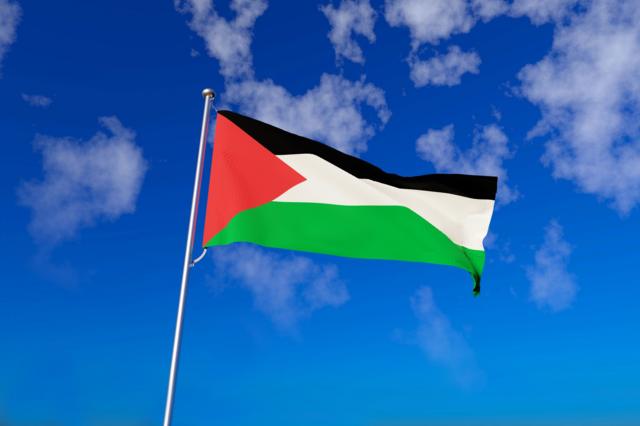  ОН ги повикуваат сите земји да ја признаат Палестина