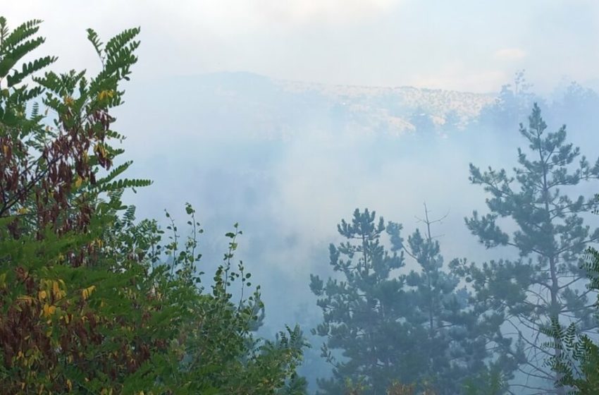  Голем шумски пожар во Струшко, во гаснењето вклучен хеликоптер на МВР