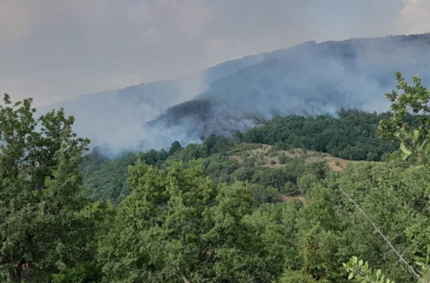  (Видео) Наши и „ер трактори“ од Турција ги гаснат пожарите на Серта и Огражден