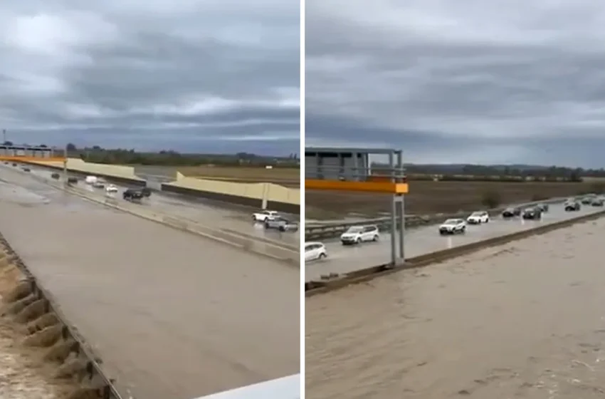  (Видео) Вака изгледа автопатот во близина на Виена