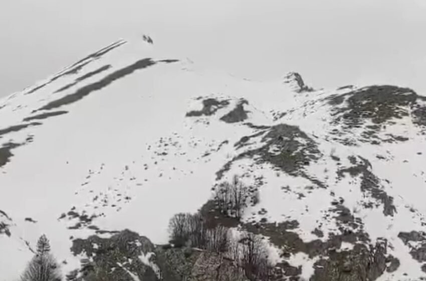  Струшки планинари за влакно избегнаа напад од мечка на Јабланица (ВИДЕО)