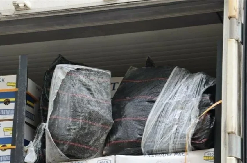  Во пристаниште во Хрватска пронајдени 85 килограми кокаин вреден 6 милиони евра