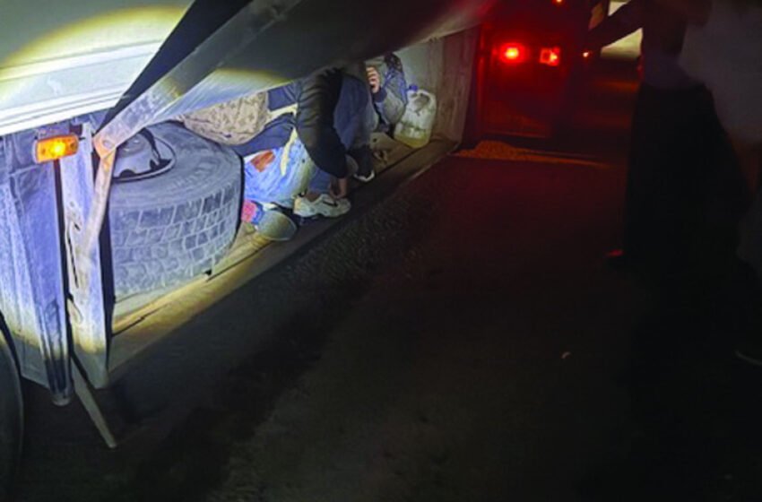 Царинска управа: Спречен нелегален влез на мигранти од Блискиот Исток и Северна Африка, спречени и повеќе обиди за криумчарење шамивчиња за потенција, чанти и паметни часовници