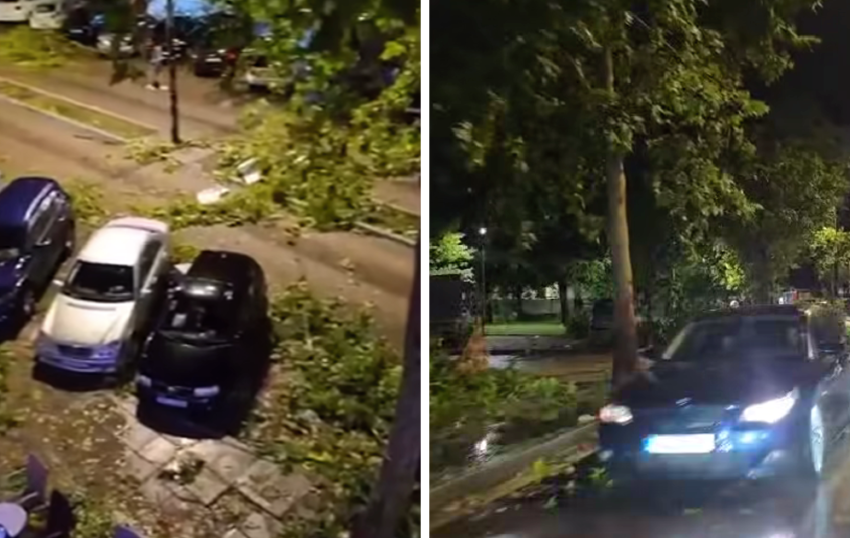 Силно невреме во Мостар, дрвја паднаа врз автомобили!