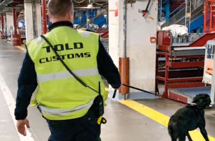  Данска полиција: Дроновите над аеродромот во Копенхаген биле контролирани од „способен оператор“