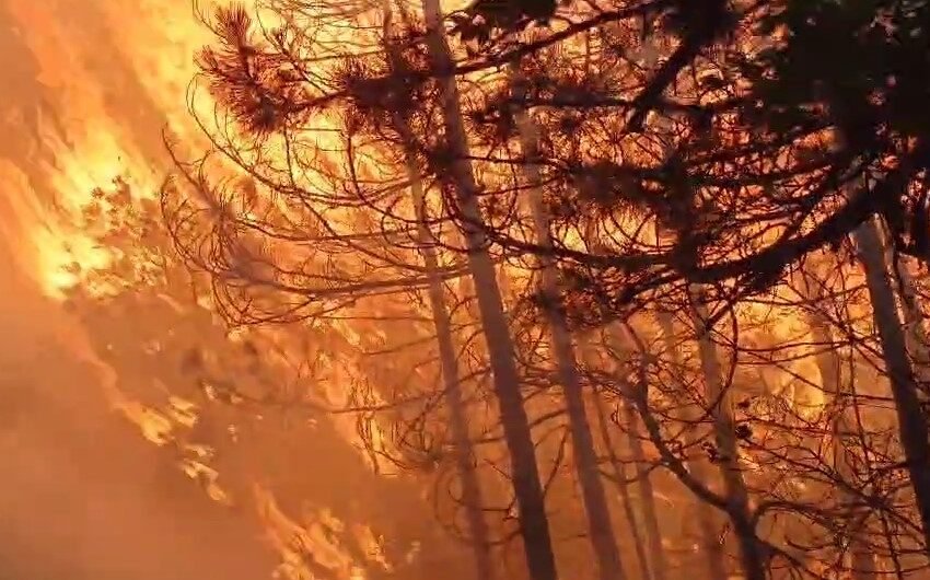  Пожарникарите и војската во Шпанија се борат со пожарите