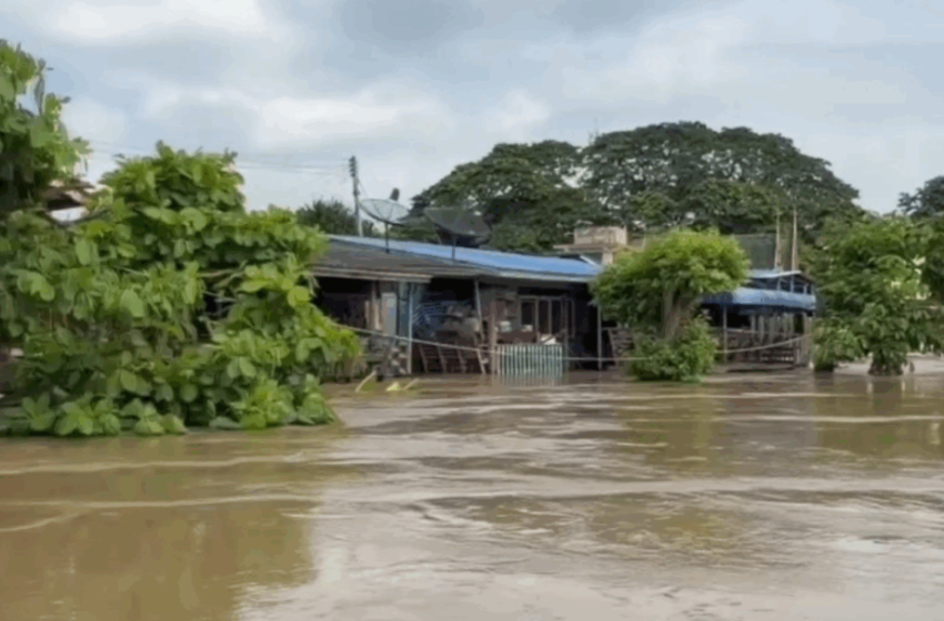  Најмалку 12 лица загинаа во катастрофалните поплави во Тајланд