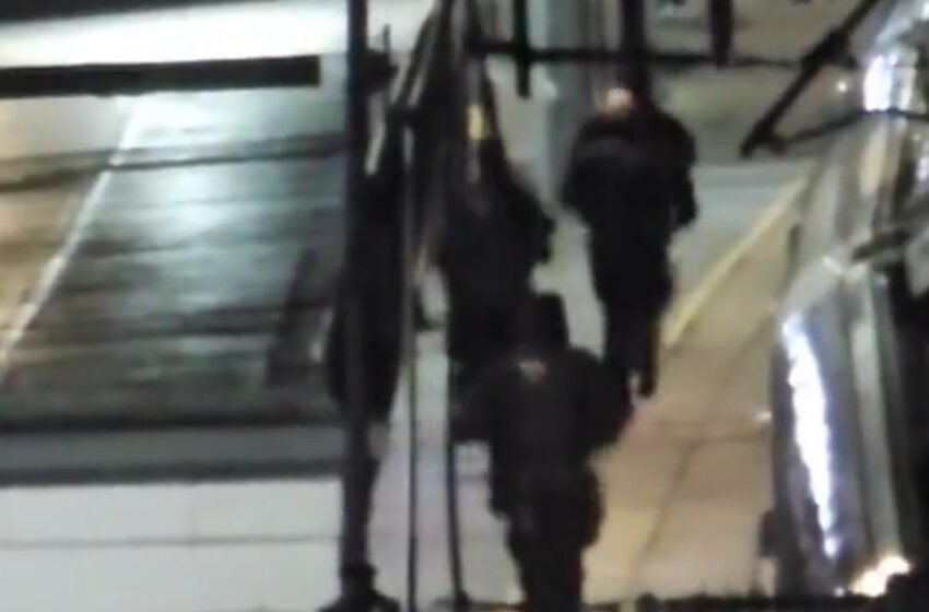  Храбар потег: Маж со своето тело заштитил девојка при нападот во воз во Англија