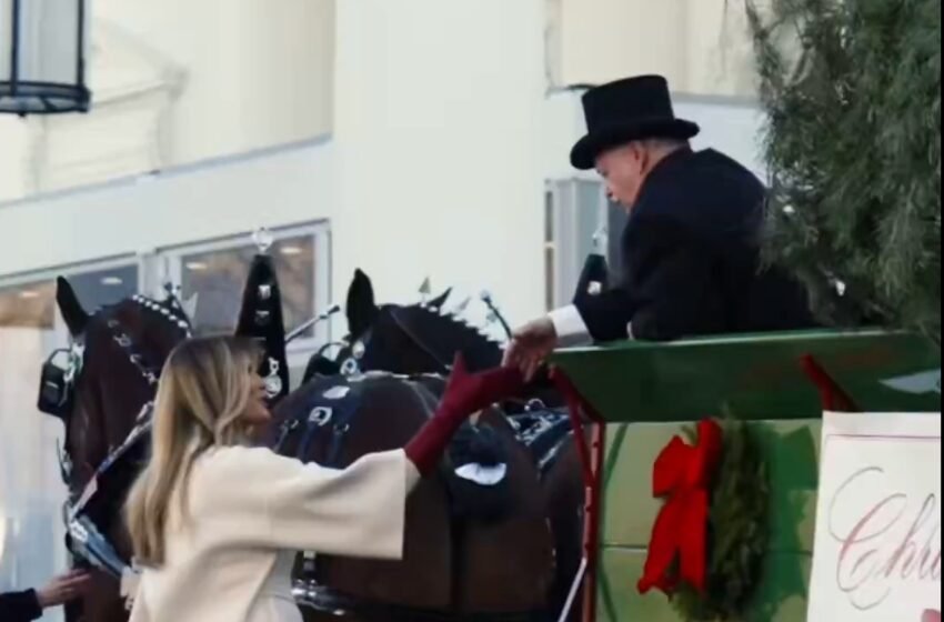  Меланија Трамп ја пречека новогодишната елка пред Белата куќа