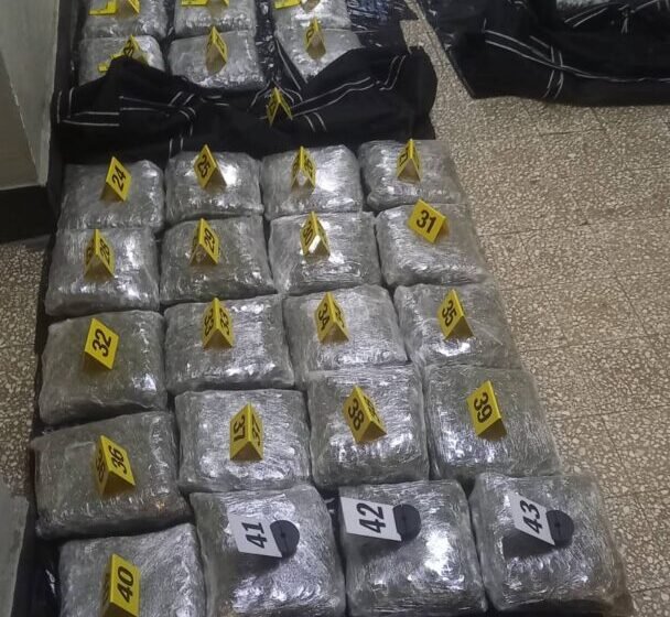  Пронајдени и запленети 62 пакувања со марихуана при претрес на возило во струшко, следува соодветна пријавa