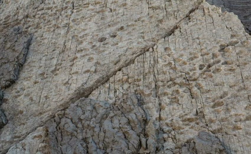  Остатоци од диносауруси стари повеќе од 210 милиони години откриени на планина во Италија