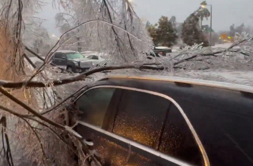  Снежна бура во САД – бројот на жртви расте, прогласена вонредна состојба во 20 држави