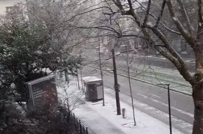  Снежна и ледена покривка во Европа, -30°C во Чешка