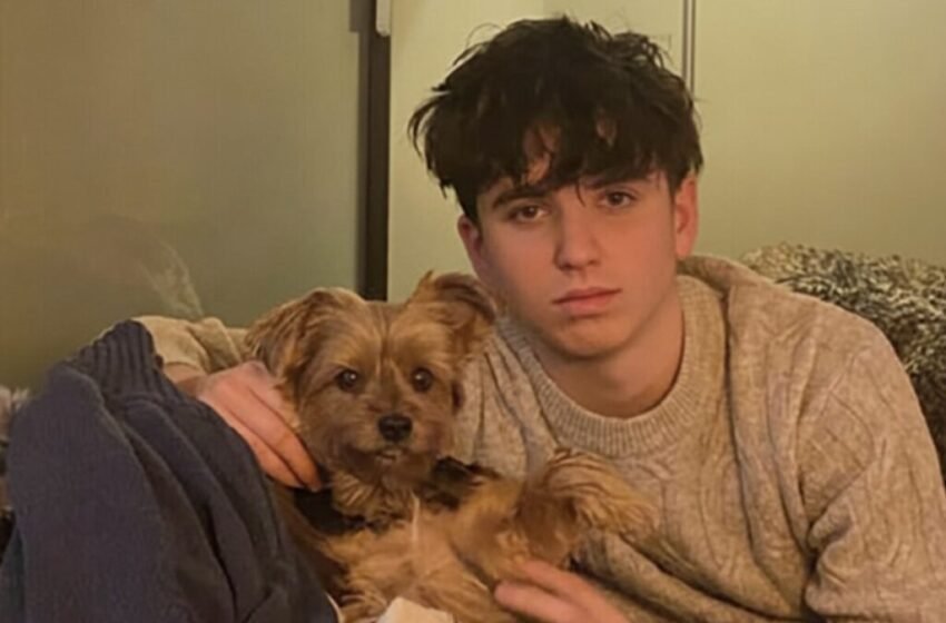  „Среќна Нова година, мамо“ – мајка очајно го бара синот исчезнат во пожарот во Кранс-Монтана