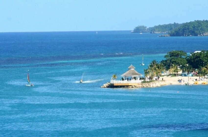  Јамајка на санки – неверојатна приказна за волја што ги поместува границите