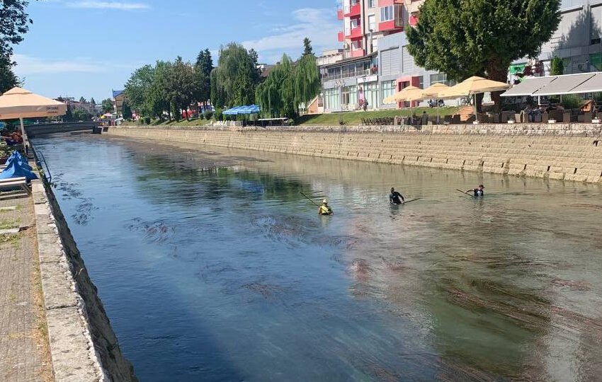  Започна акција за чистење на градскиот дел од коритото на реката Црн Дрим од реси