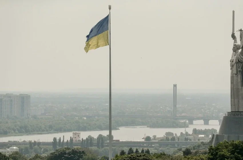  Птиците во Украина градат гнезда од оптички влакна за дронови